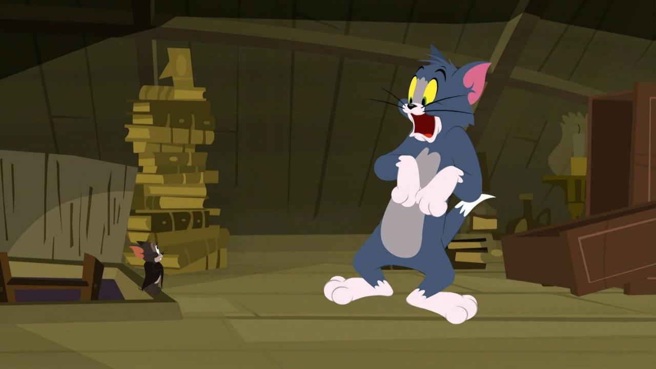 Tom et Jerry Show