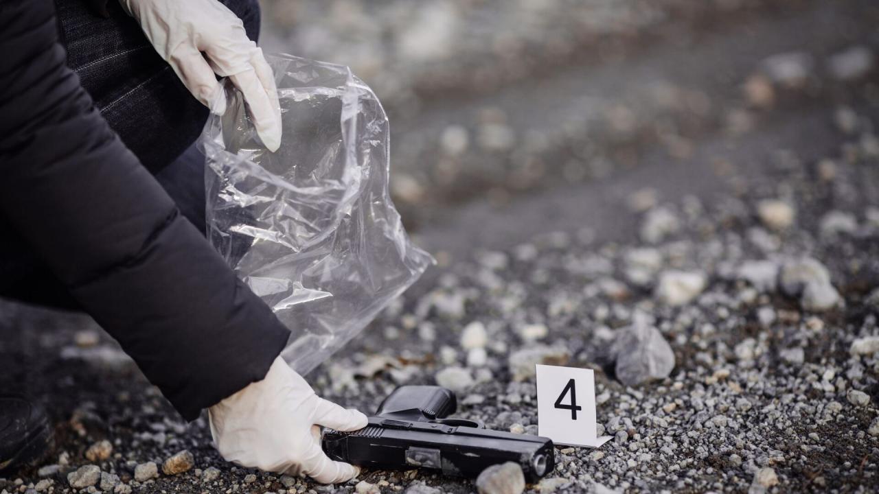 New York Unité Spéciale S20 E4