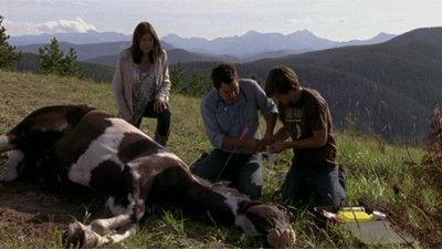 Heartland