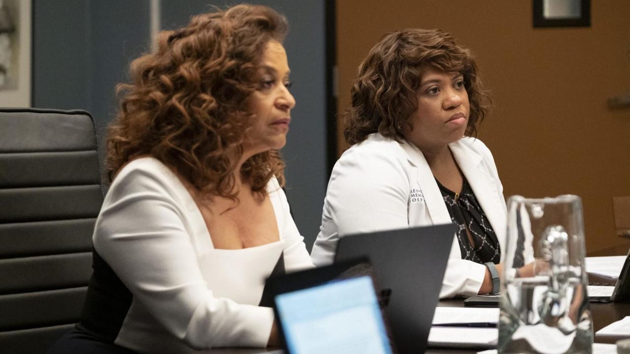 Grey's Anatomy S15 E24