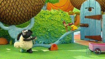 Voici Timmy