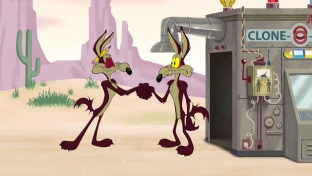 Looney Tunes Cartoons