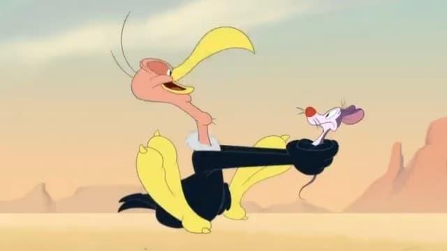 Looney Tunes Cartoons