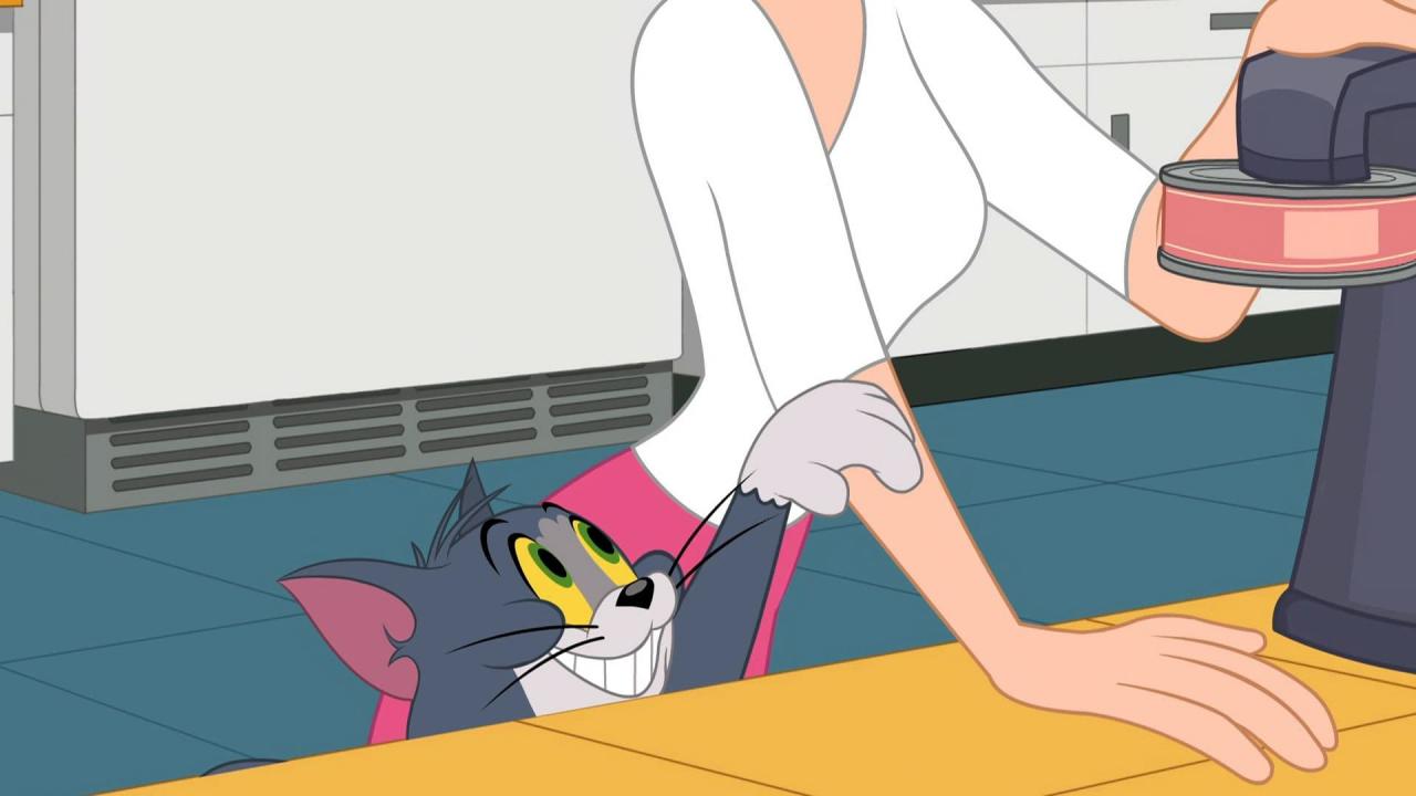 Tom et Jerry Show
