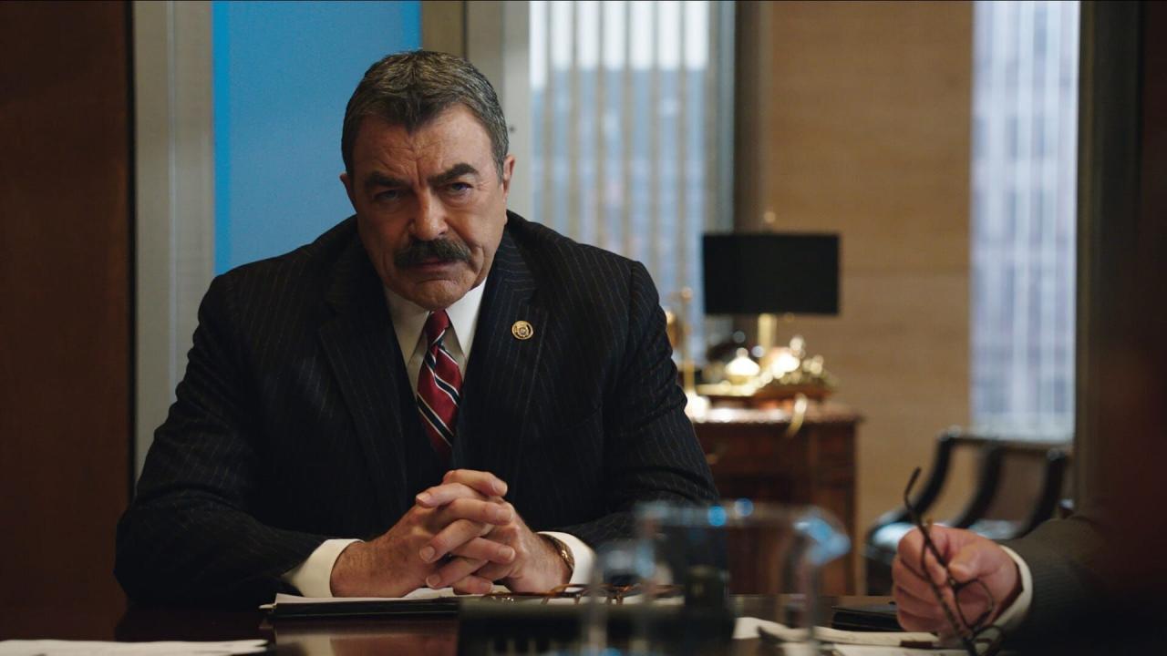Blue Bloods S9 E9