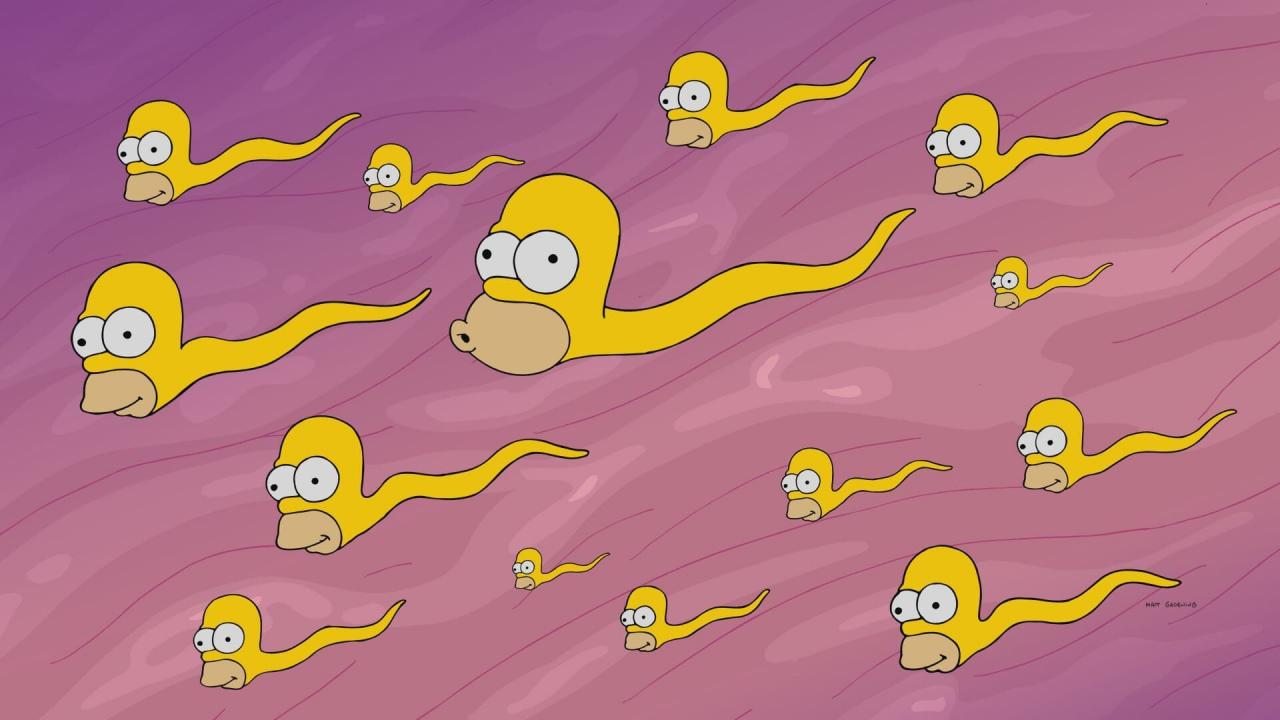 Les Simpson S29 E13