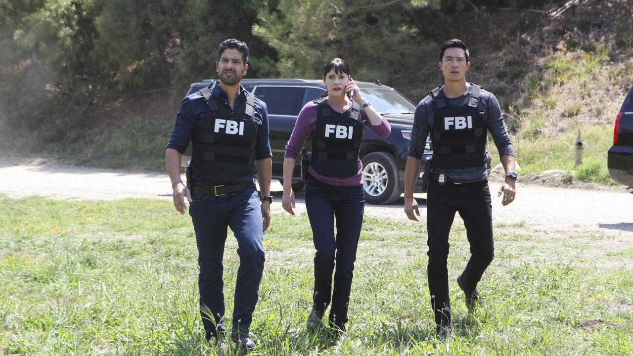 Esprits criminels S8 E17