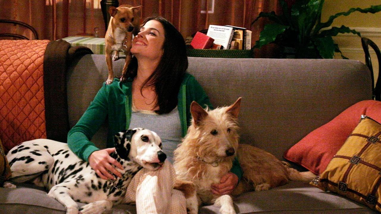 How I Met Your Mother S1 E18