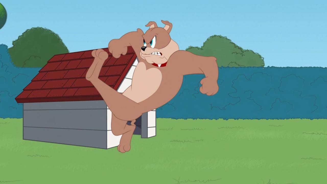Tom et Jerry Show