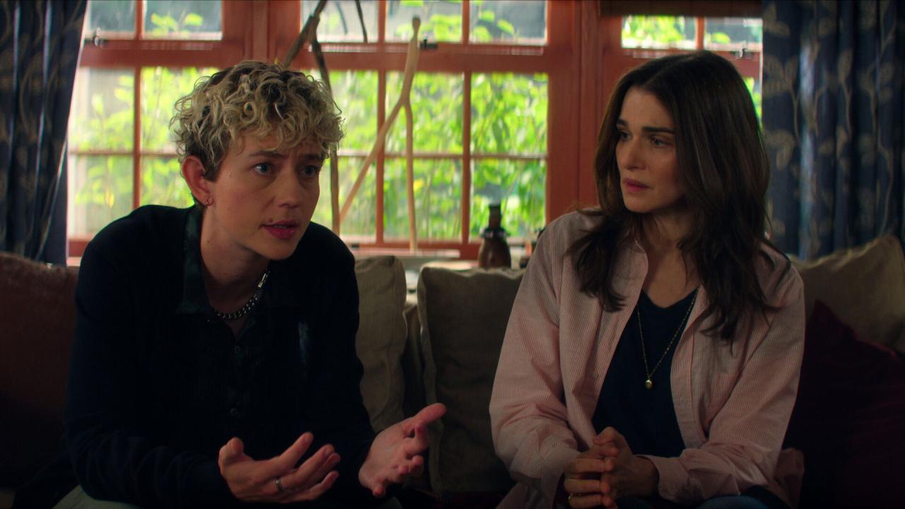 Le Délicieux Professeur V.