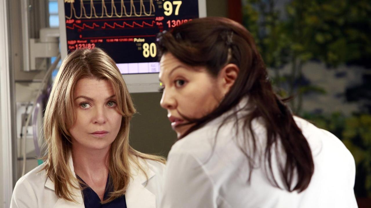 Grey's Anatomy S9 E8