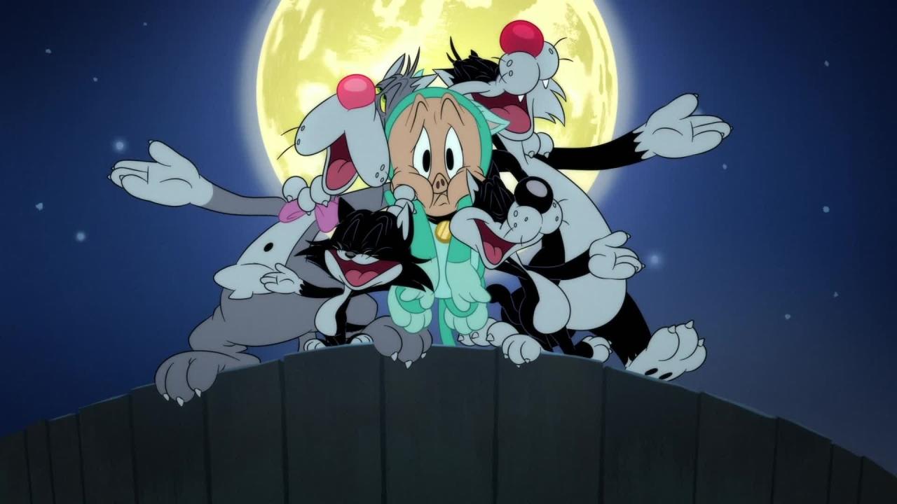 Looney Tunes Cartoons