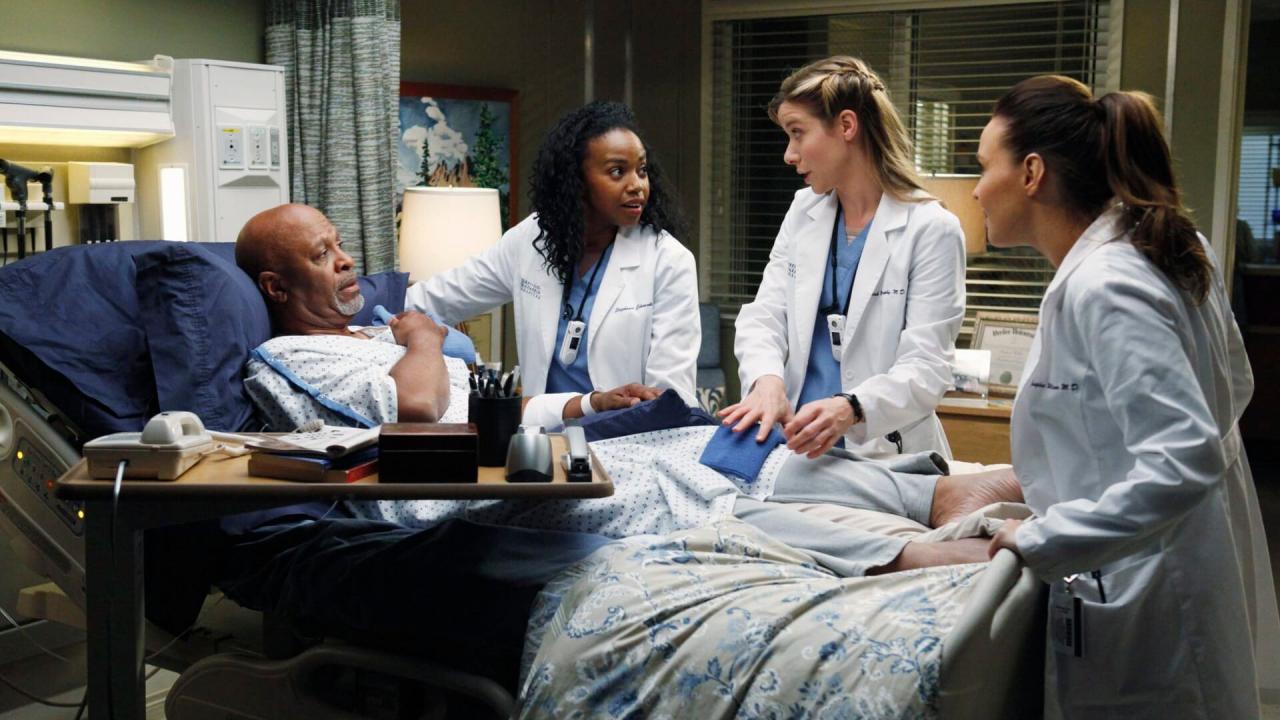 Grey's Anatomy S9 E24