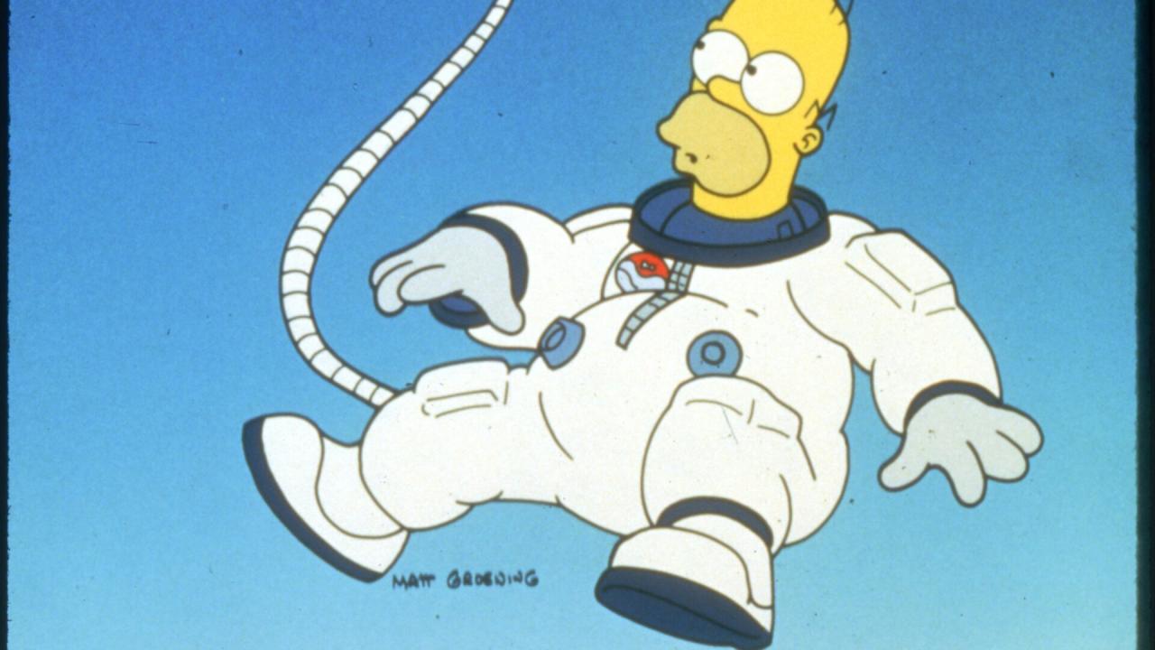 Les Simpson S5 E15
