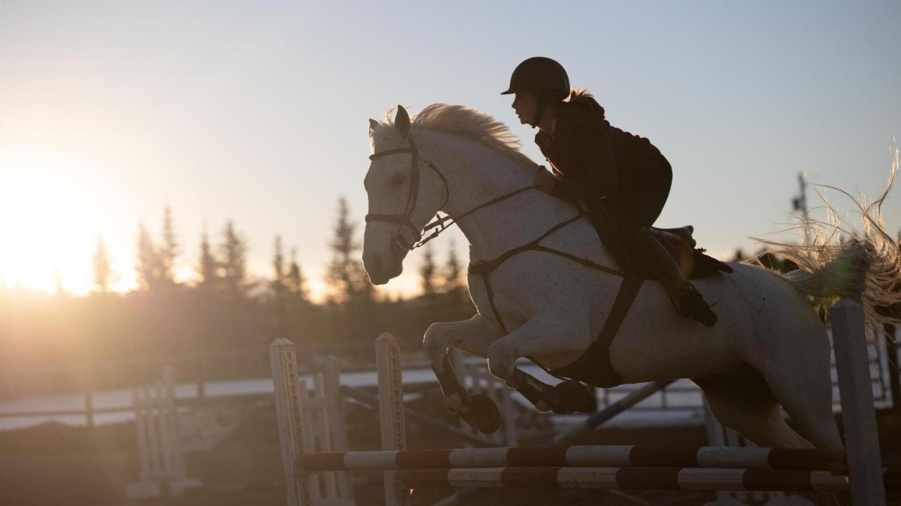 Heartland S16 E14