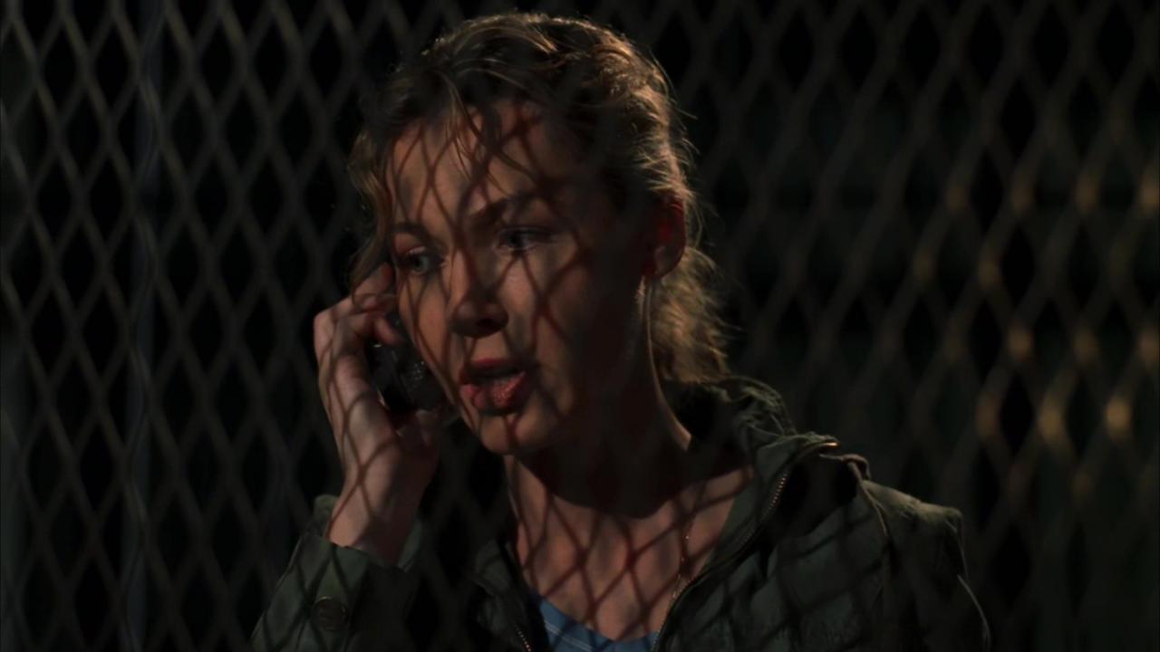 New York Unité Spéciale