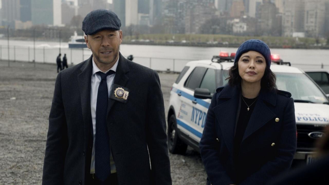 Blue Bloods S14 E11