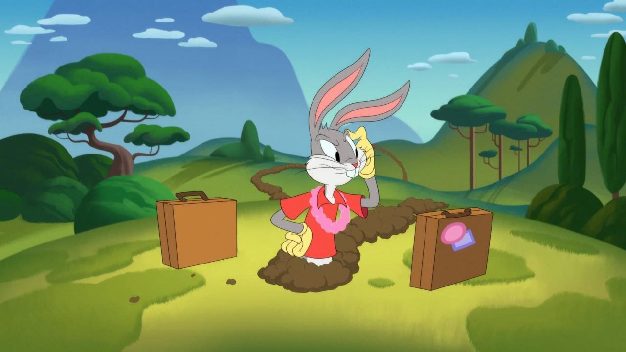 Looney Tunes Cartoons