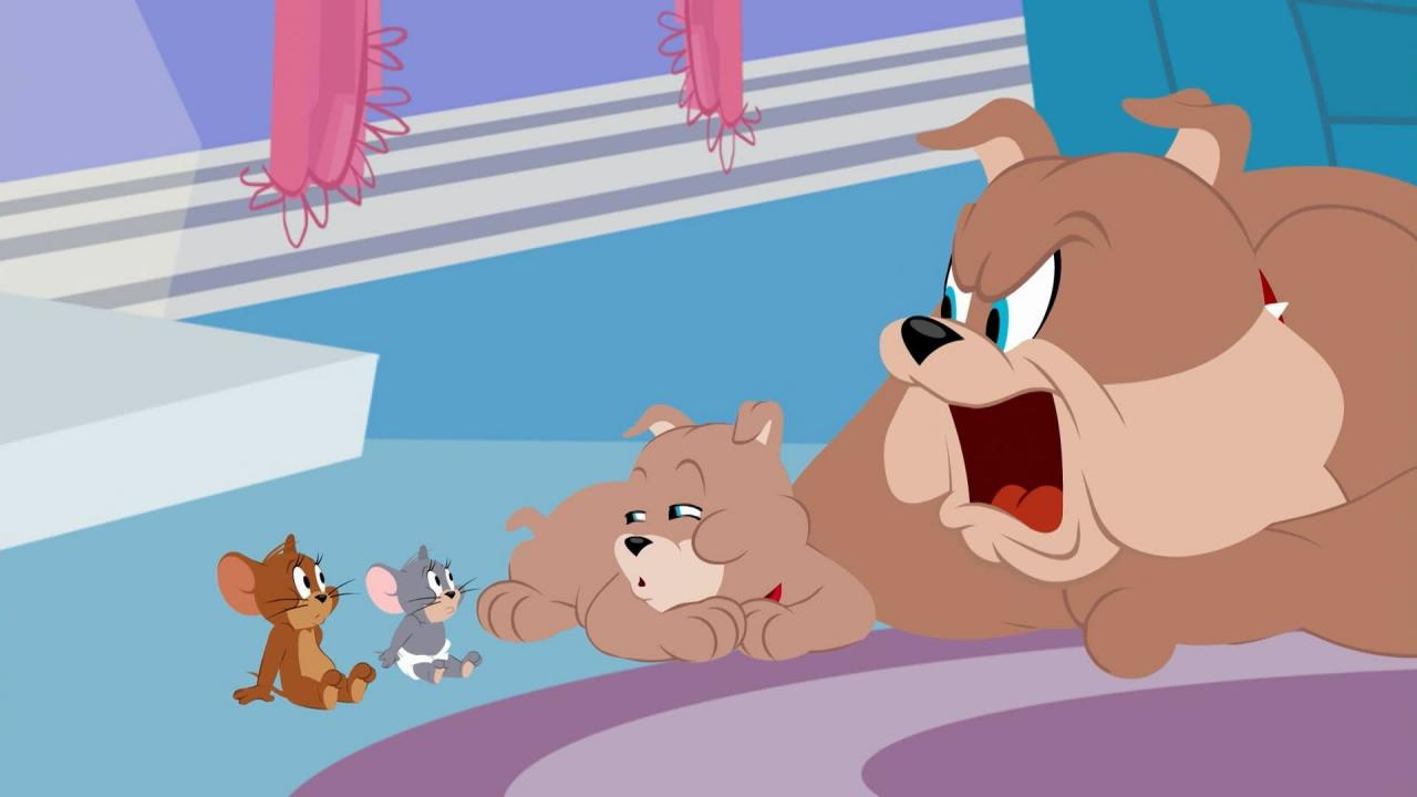 Tom et Jerry Show