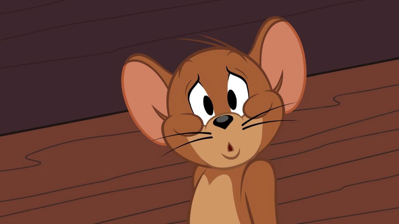 Tom et Jerry Show