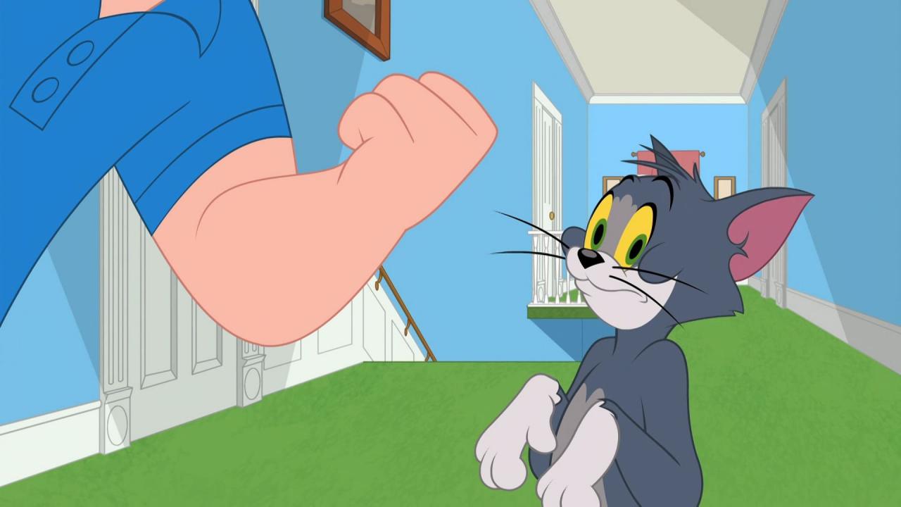 Tom et Jerry Show