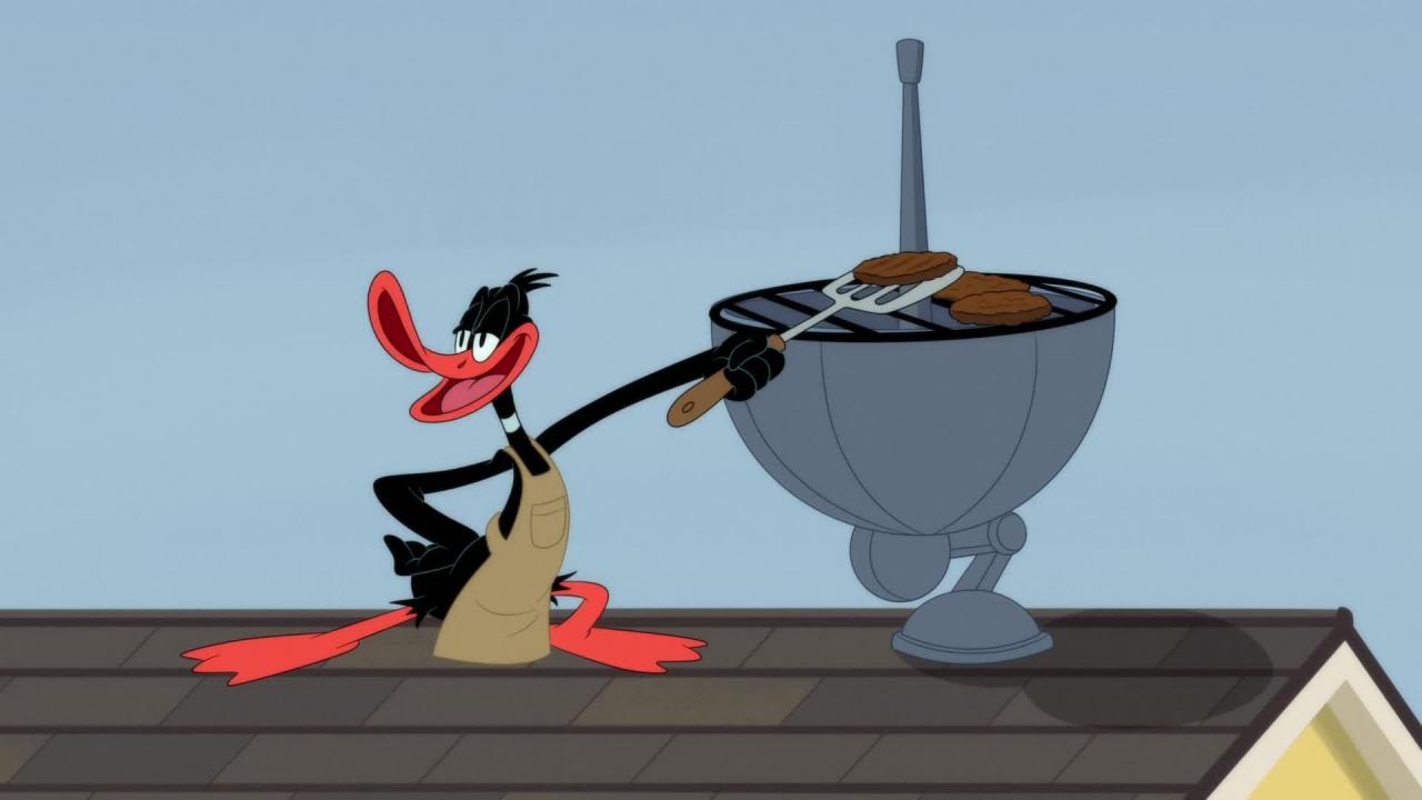 Looney Tunes Cartoons