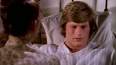 La Petite Maison dans la prairie