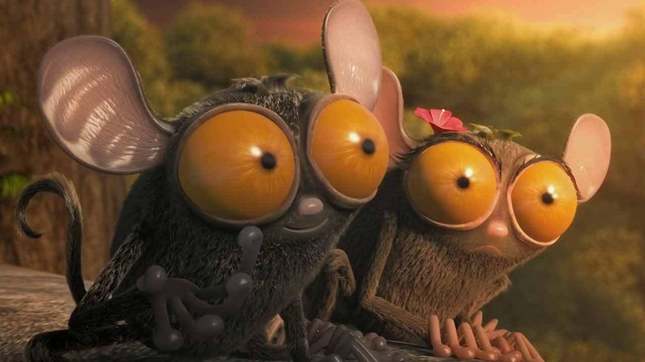 Les As de la jungle en direct