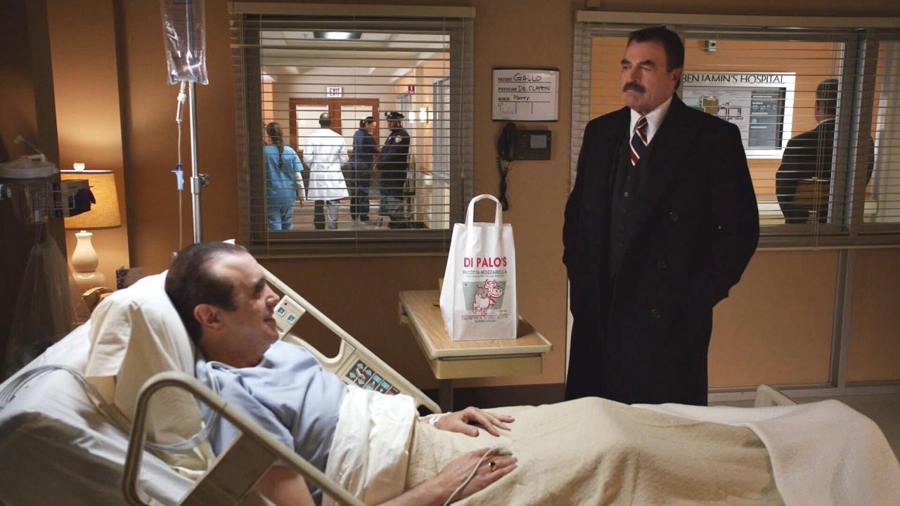 Blue Bloods S4 E8