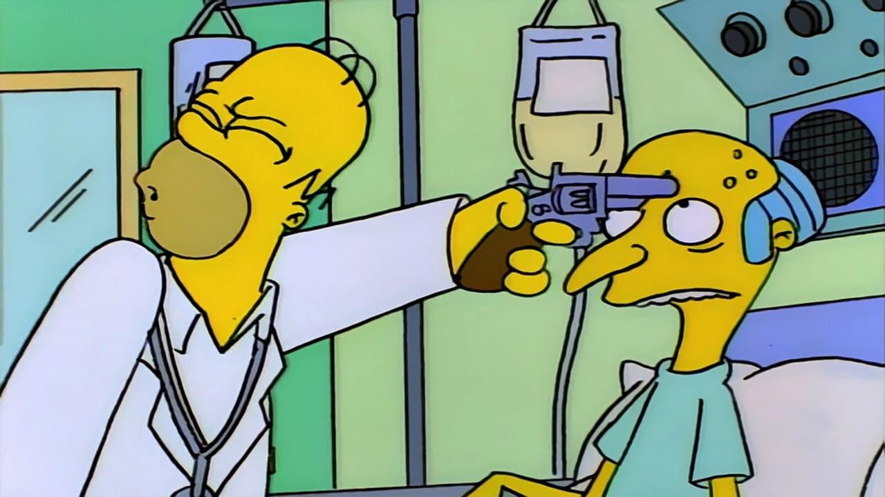 Les Simpson