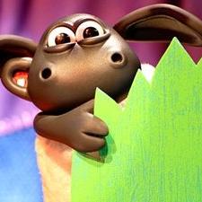 Voici Timmy