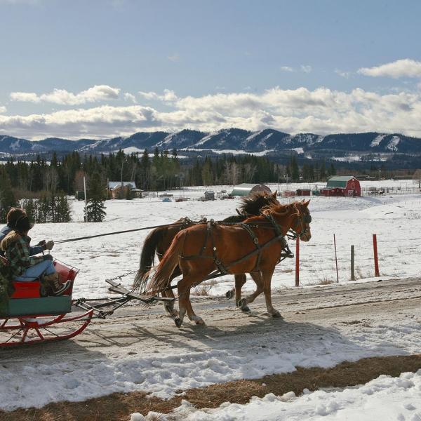 Heartland