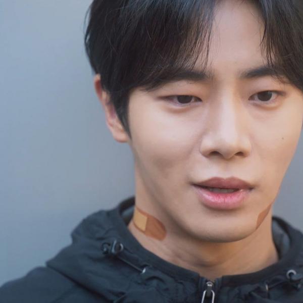 La Fée et le Bouvier