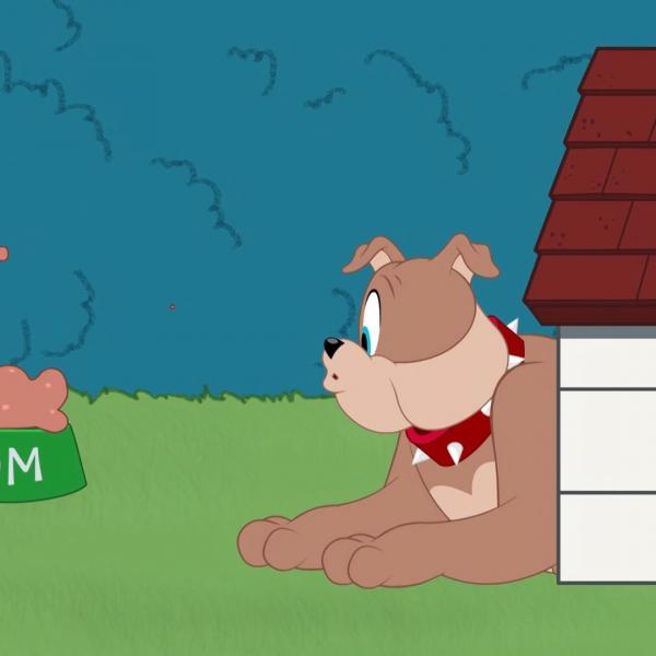 Tom et Jerry Show