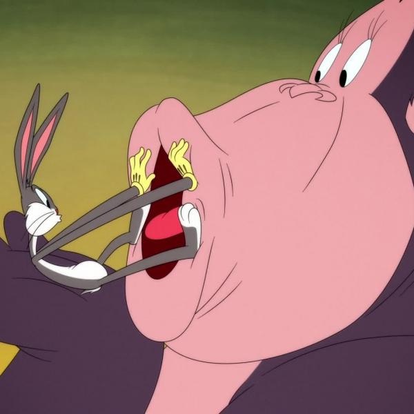 Looney Tunes Cartoons