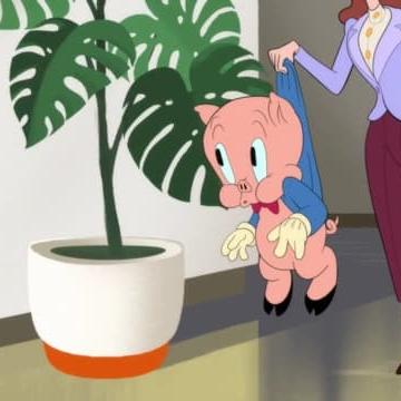 Looney Tunes Cartoons