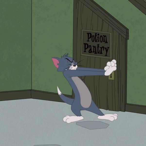 Tom et Jerry Show