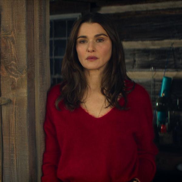 Le Délicieux Professeur V.