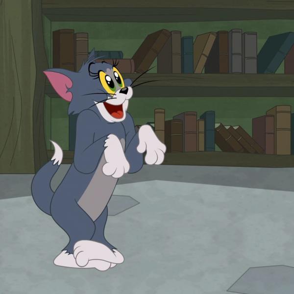 Tom et Jerry Show