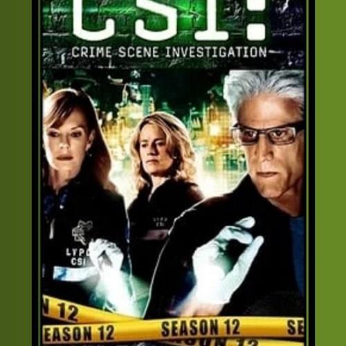 Les Experts S12 E1