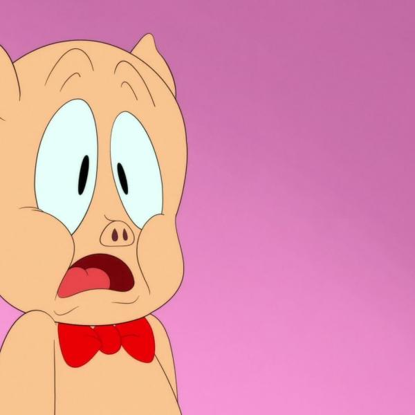 Looney Tunes Cartoons