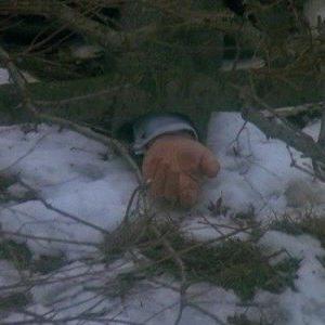 New York, police judiciaire