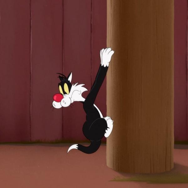 Looney Tunes Cartoons