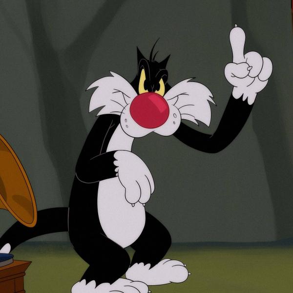 Looney Tunes Cartoons