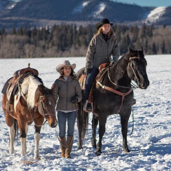 Heartland