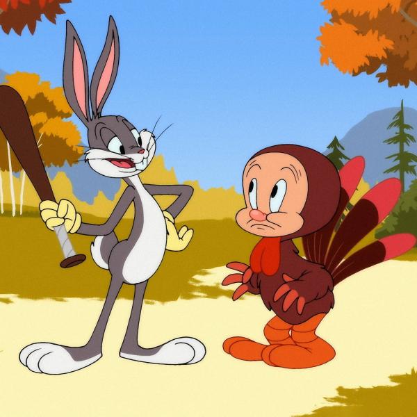 Looney Tunes Cartoons