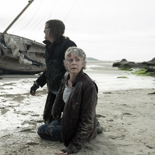 The Walking Dead : Daryl Dixon