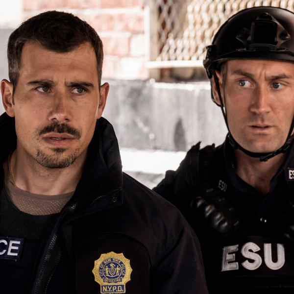 New York Unité Spéciale