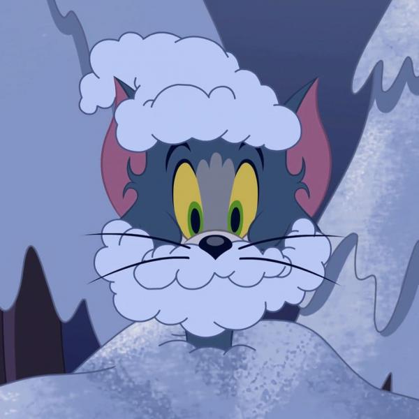 Tom et Jerry Show