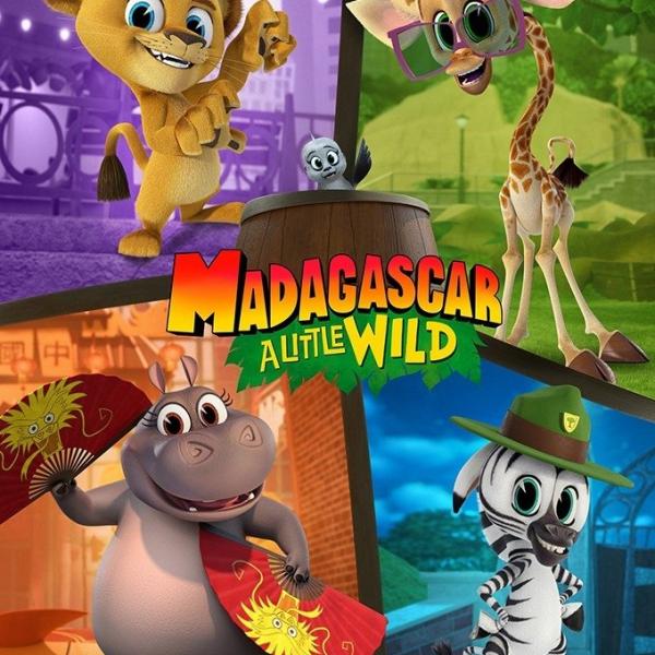 Madagascar : La savane en délire